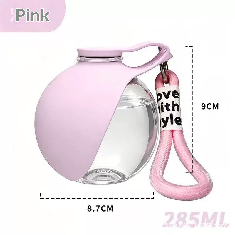 Portable Stainless Steel Pet Water Bottle