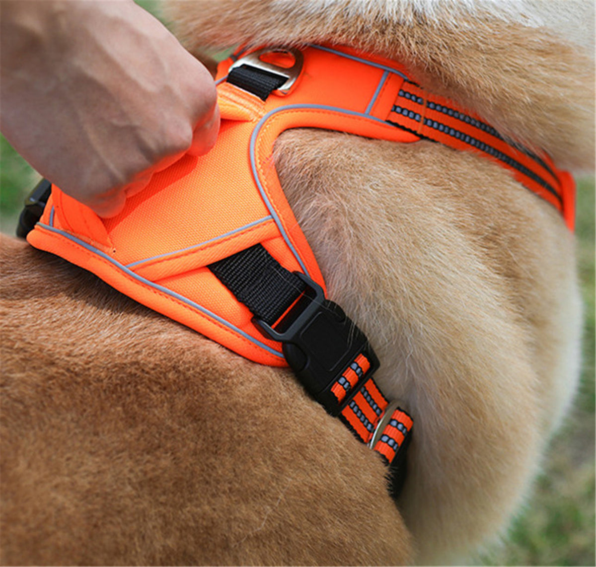 Waterproof Oxford cloth dog harness with control handle