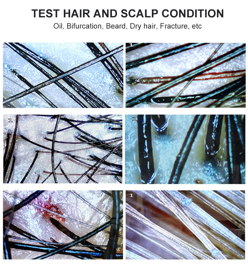 Collage of hair samples with text indicating conditions to be tested.